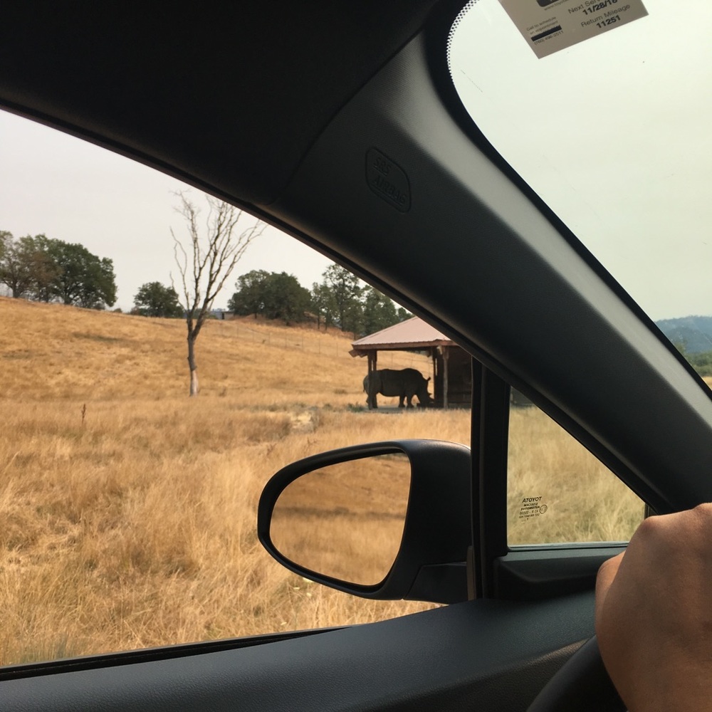 Meet your Posher, Francis